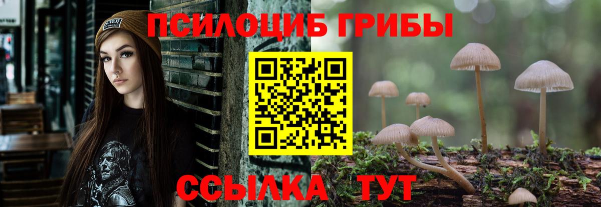 Бузулук  Галлюциногенные грибы прущие грибы  Вход с VPN 